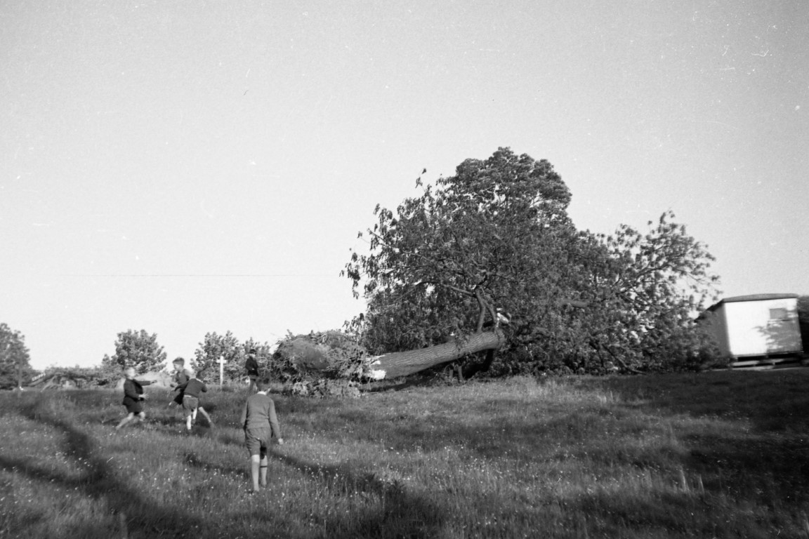 Crosslands